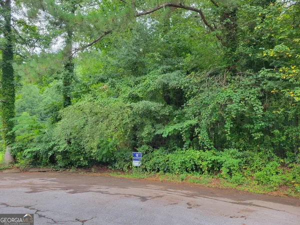 a view of a yard with potted plants and large trees