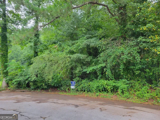 a view of a yard with potted plants and large trees