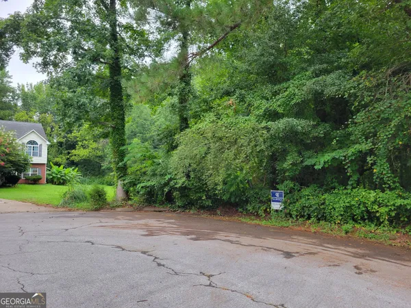 a view of a roadside with trees
