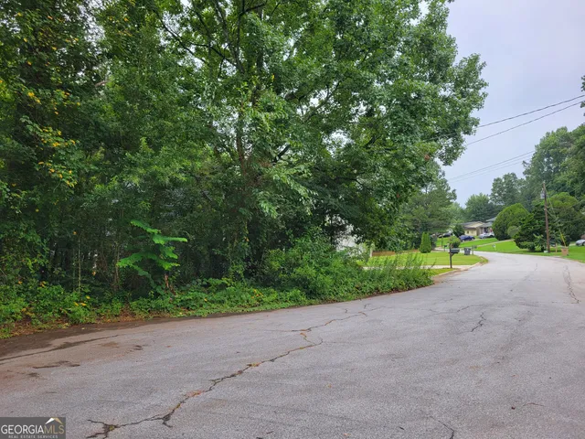 a view of a garden with plants