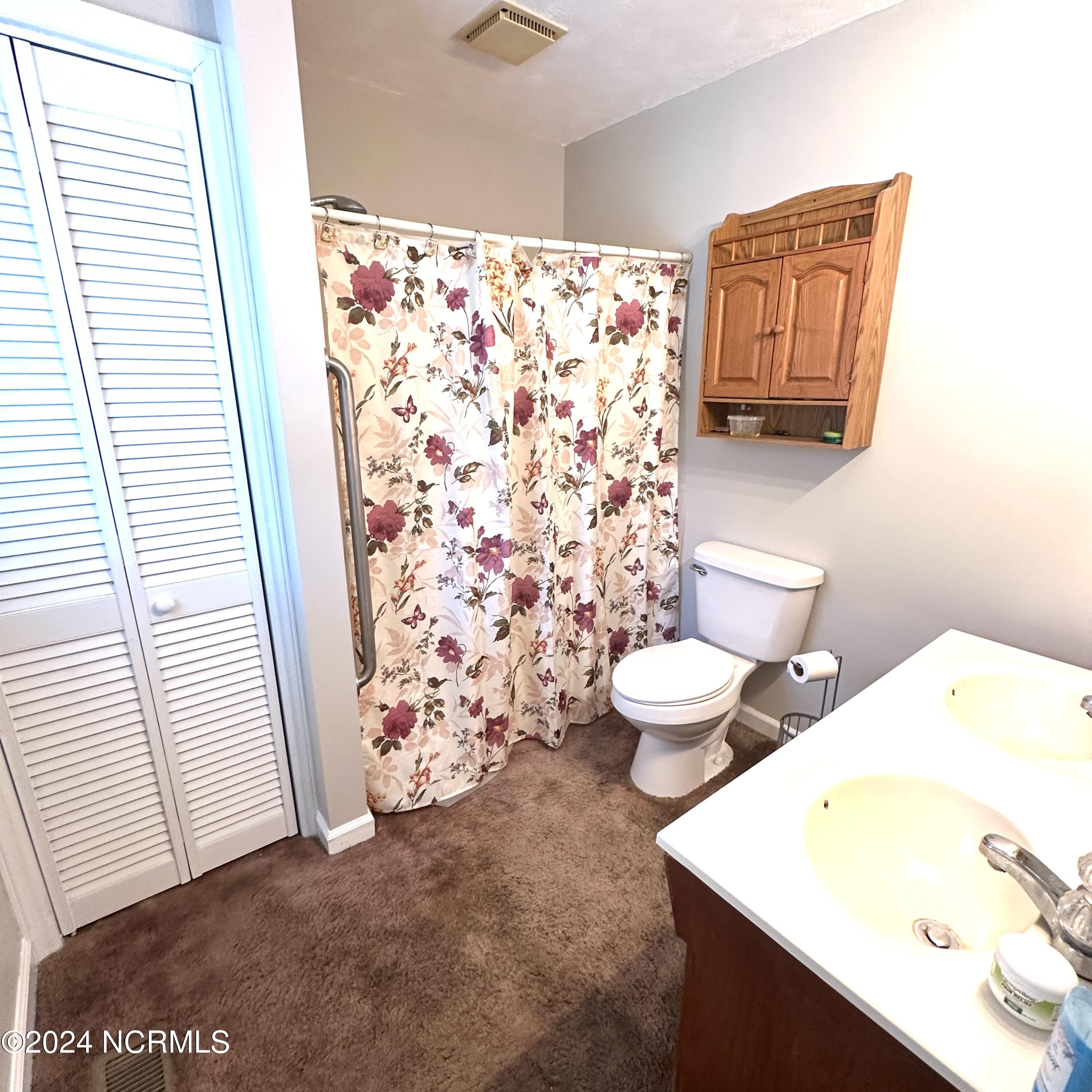 216 Hickory Fork Road Edenton, NC 27932 - Photo 12 of 18 Primary Bath