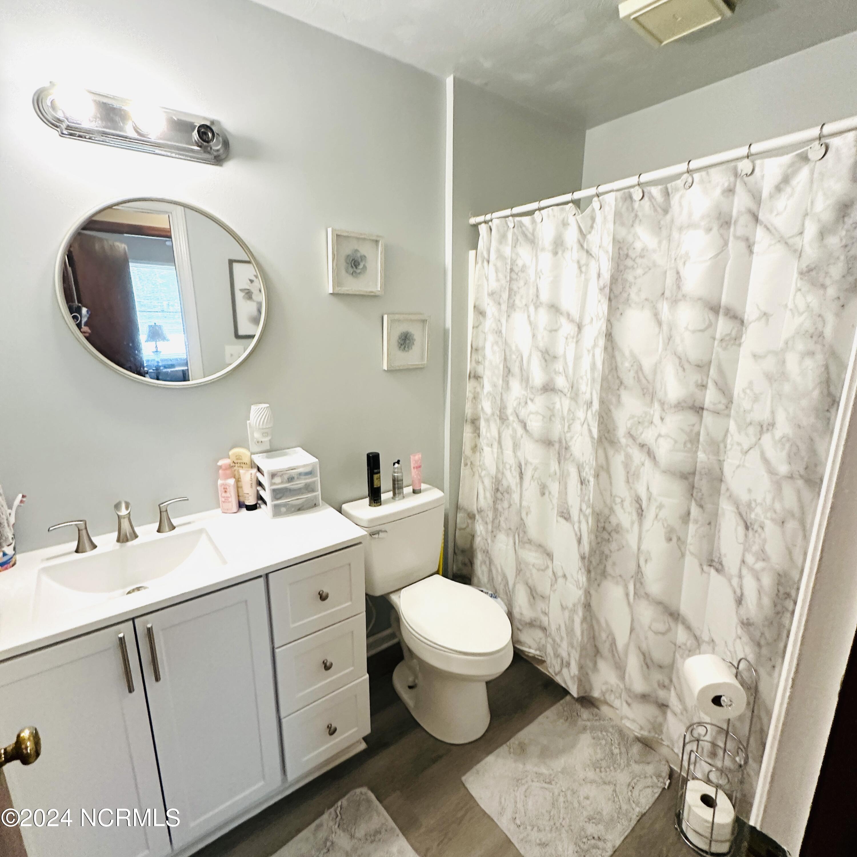 216 Hickory Fork Road Edenton, NC 27932 - Photo 10 of 18 Guest Bath
