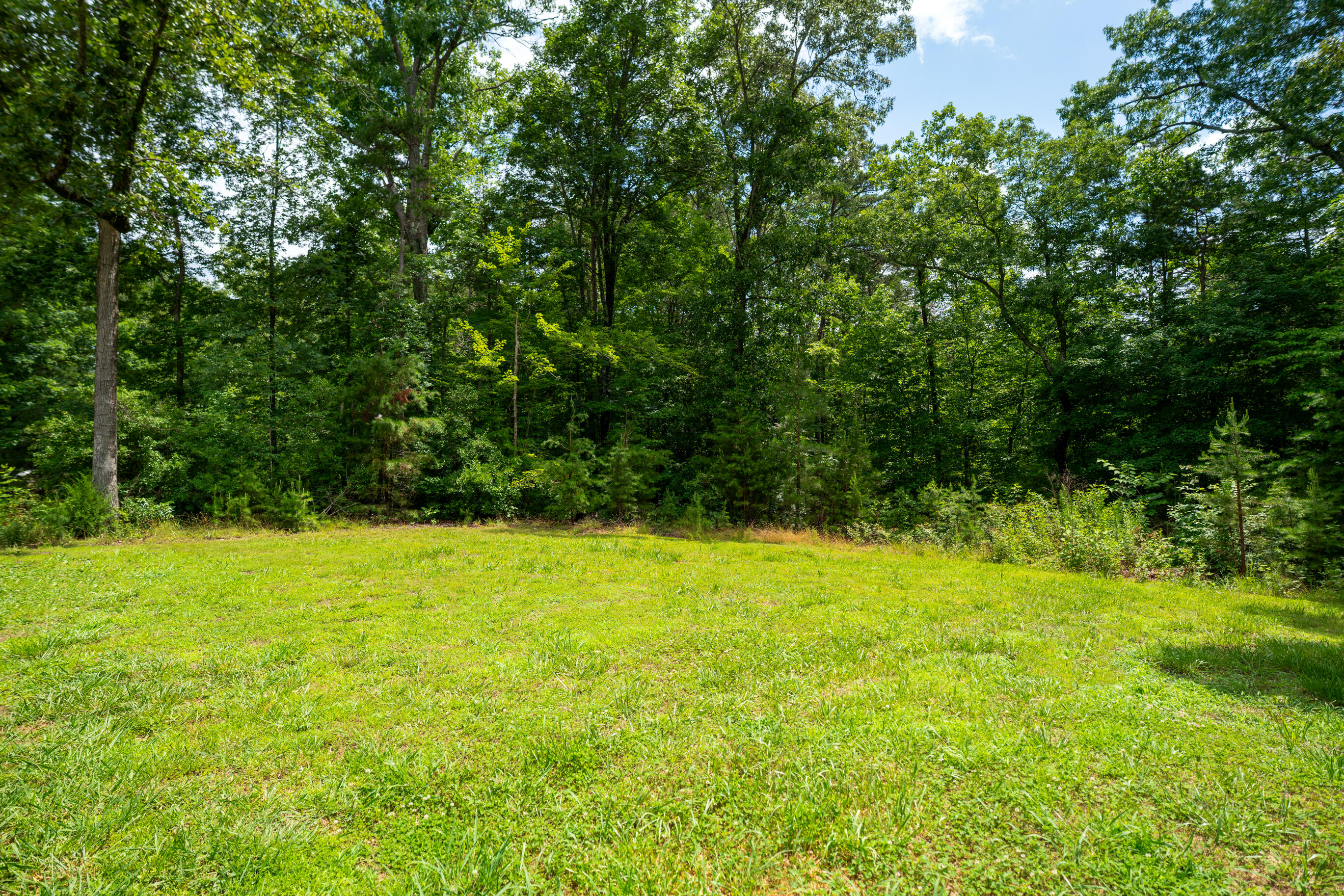 2444 Cloverdale Road Rising Fawn, GA 30738 - Photo 41 of 60 _DSC1876-Edit