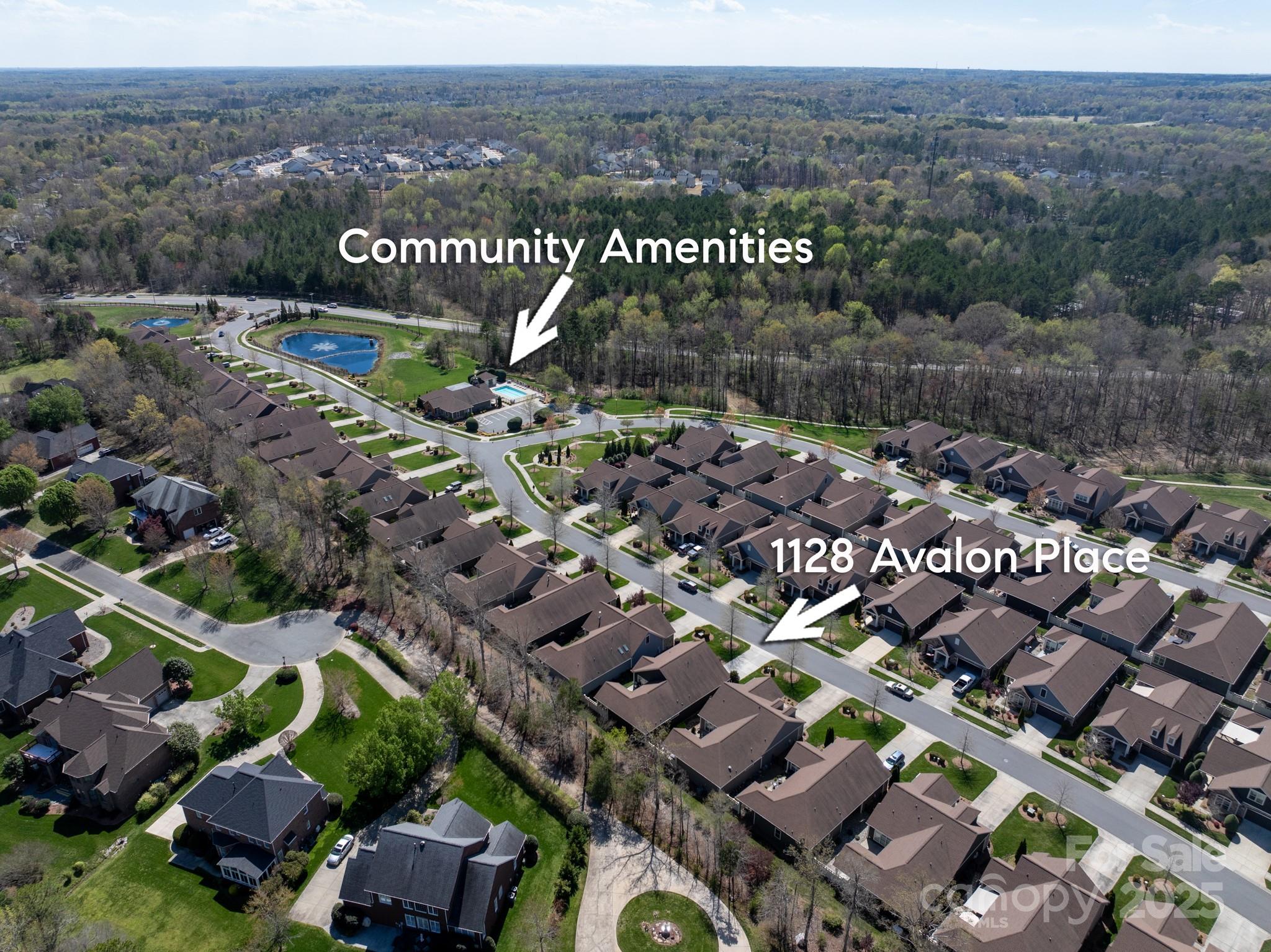 1128 Avalon Place Matthews, NC 28104 - Photo 37 of 39 an aerial view of multiple house