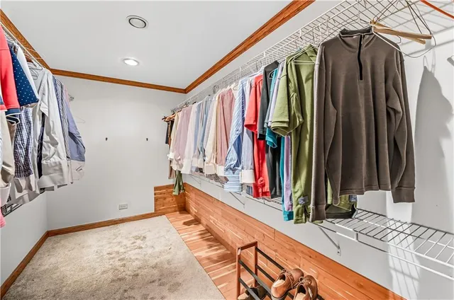 a view of a backyard with large trees