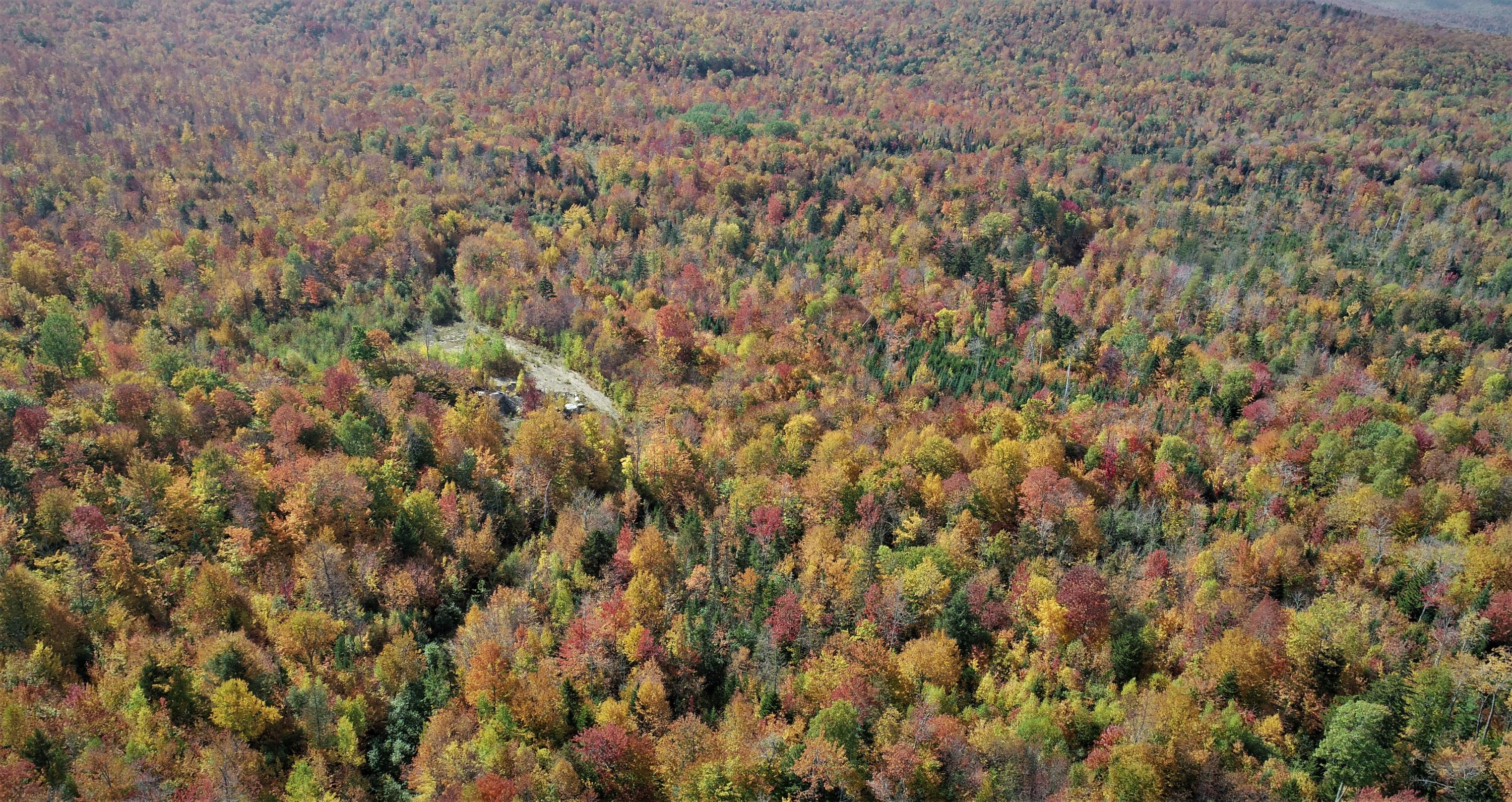 57 Mt Blue Pond Road Avon, ME 04966 - Photo 6 of 44 DJI_0070