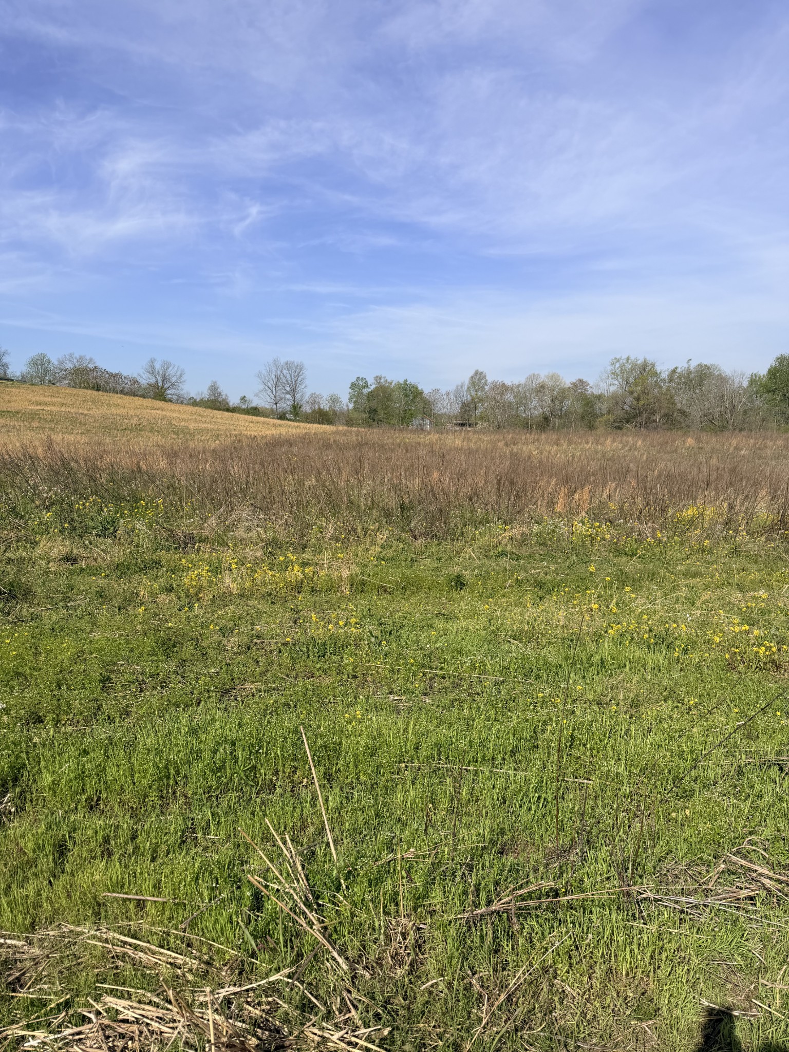 0 Oakmere Lane Lafayette, TN 37083 - Photo 2 of 2 a view of a lake with a city