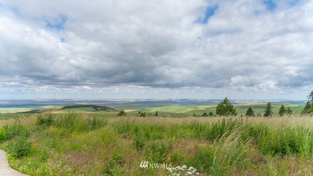 3559 Seaman Road Waitsburg, WA 99361 - Photo 23 of 26 Gallery Image 23