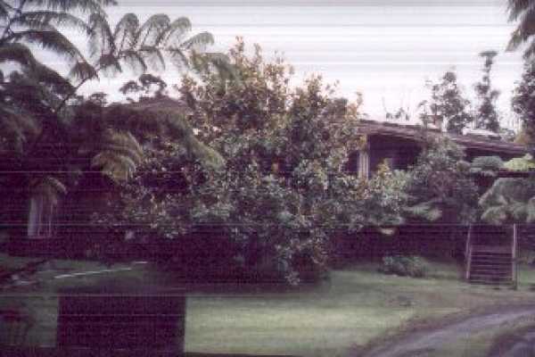 19-4377 Wright Road Volcano, HI 96785 - Photo 2 of 11 Gallery Image 2
