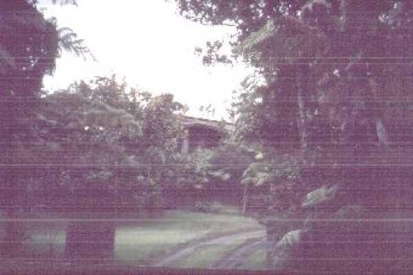 19-4377 Wright Road Volcano, HI 96785 - Photo 5 of 11 Gallery Image 5