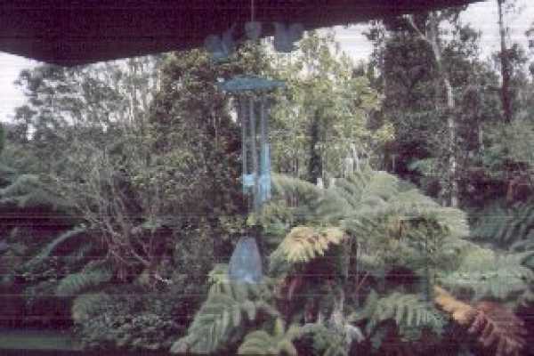 19-4377 Wright Road Volcano, HI 96785 - Photo 6 of 11 Gallery Image 6