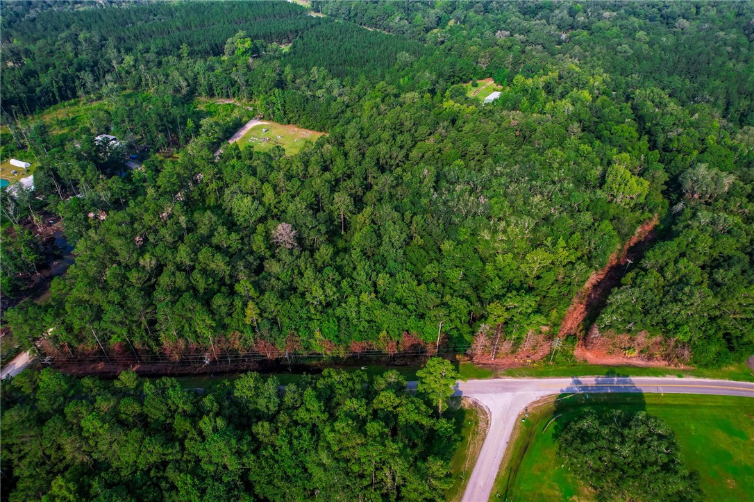 0 Middle Road Hilliard, FL 32046 - Photo 2 of 21 a view of a garden with plants and large trees