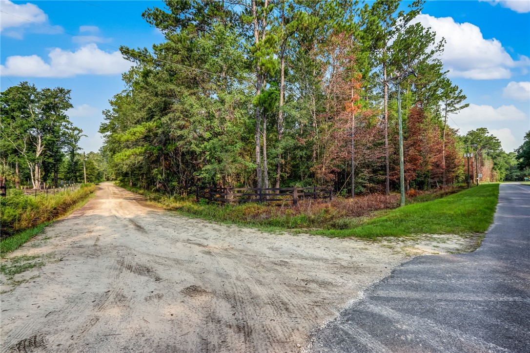0 Middle Road Hilliard, FL 32046 - Photo 3 of 21 a view of a yard with plants and trees