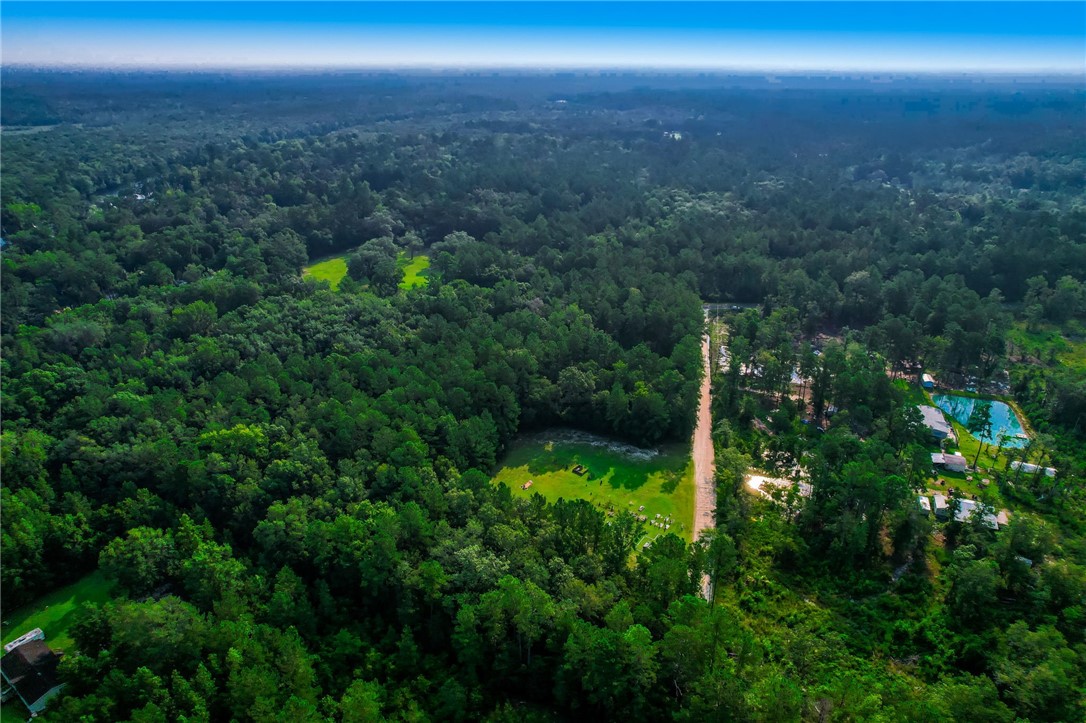 0 Middle Road Hilliard, FL 32046 - Photo 10 of 21 a view of a lush green forest