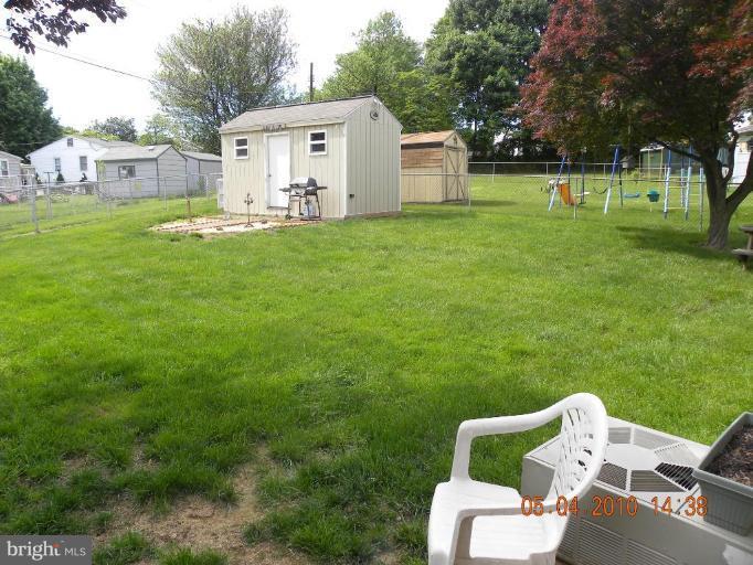 Back yard