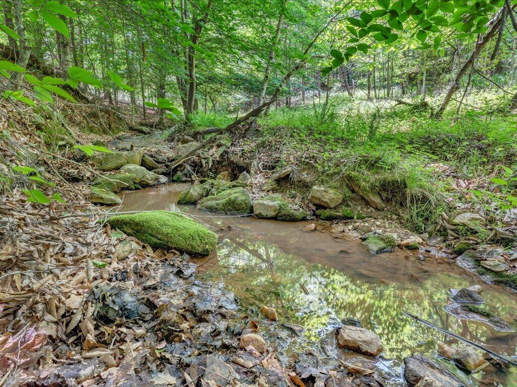 247 Powell Road Ridgeway, VA 24148 - Photo 55 of 90 55-MIB07201