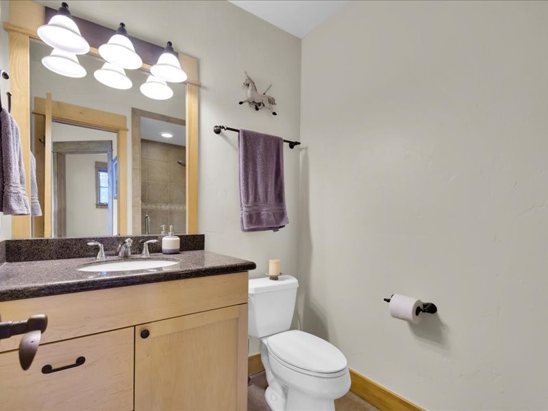 2584 Boreas Pass Road Breckenridge, CO 80424 - Photo 28 of 47 Bathroom #1 with shower
