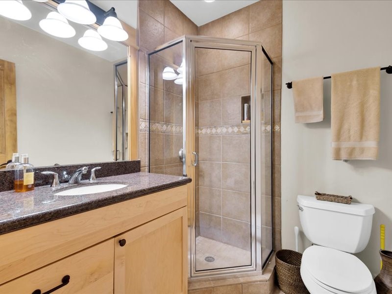 2584 Boreas Pass Road Breckenridge, CO 80424 - Photo 37 of 47 Bathroom #3 with shower