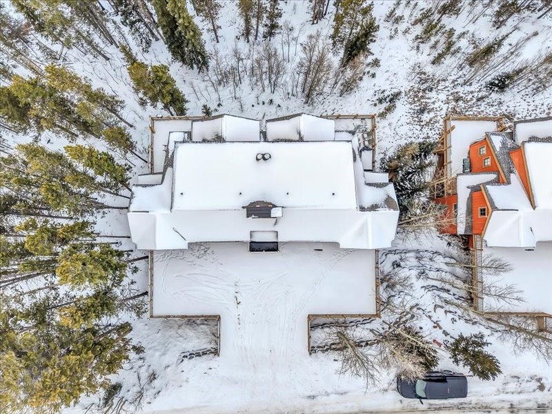 2584 Boreas Pass Road Breckenridge, CO 80424 - Photo 43 of 47 Aerial View