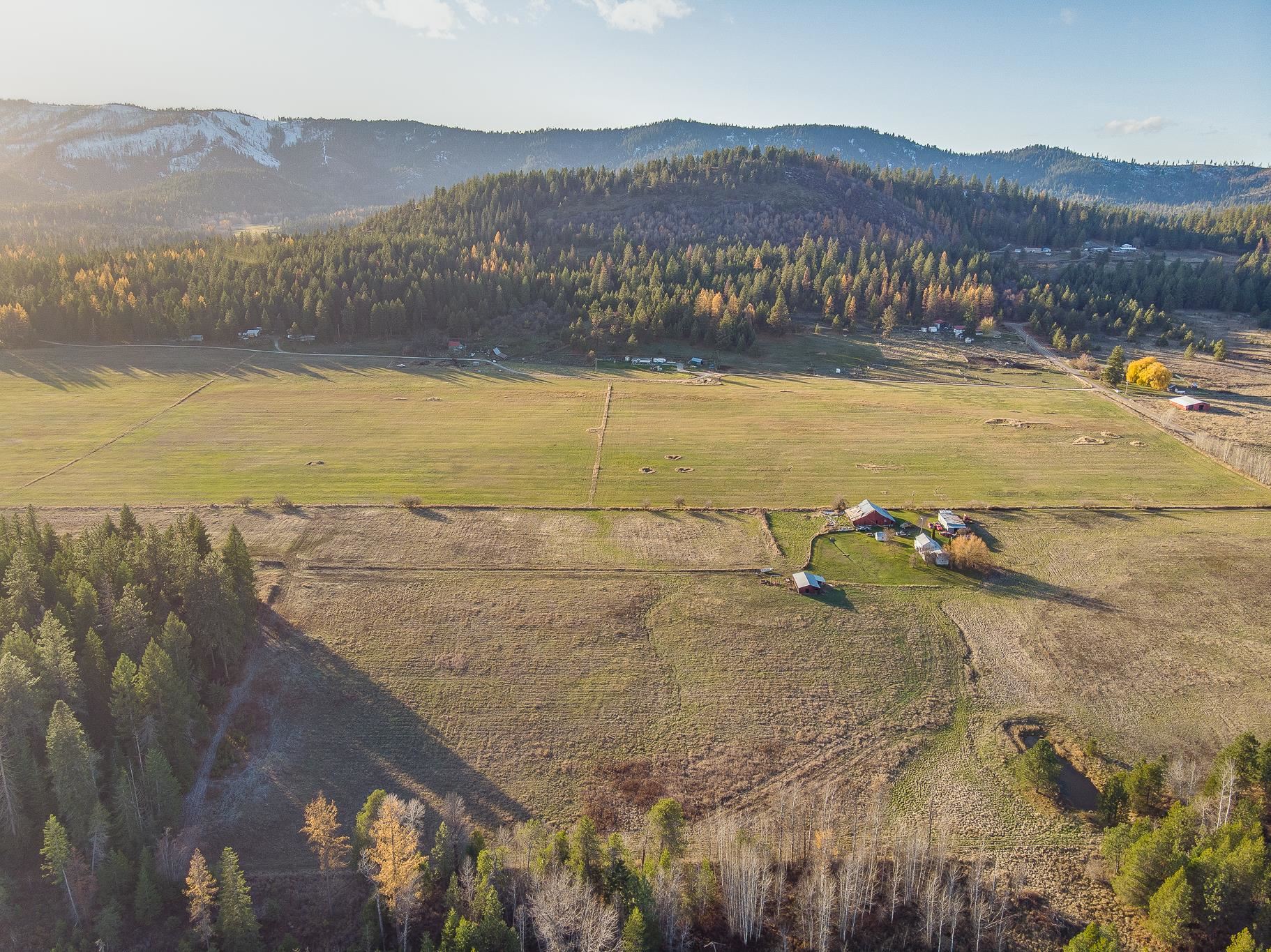 X Bellstar Road, Unit LOT B Clayton, WA 99110 - Photo 5 of 14