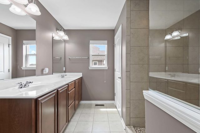 2050 Stapleton Road New Lenox, IL 60451 - Photo 23 of 38 a bathroom with a sink and a mirror