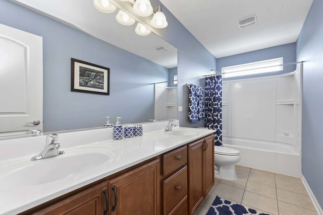 2050 Stapleton Road New Lenox, IL 60451 - Photo 29 of 38 a bathroom with a sink a toilet and shower
