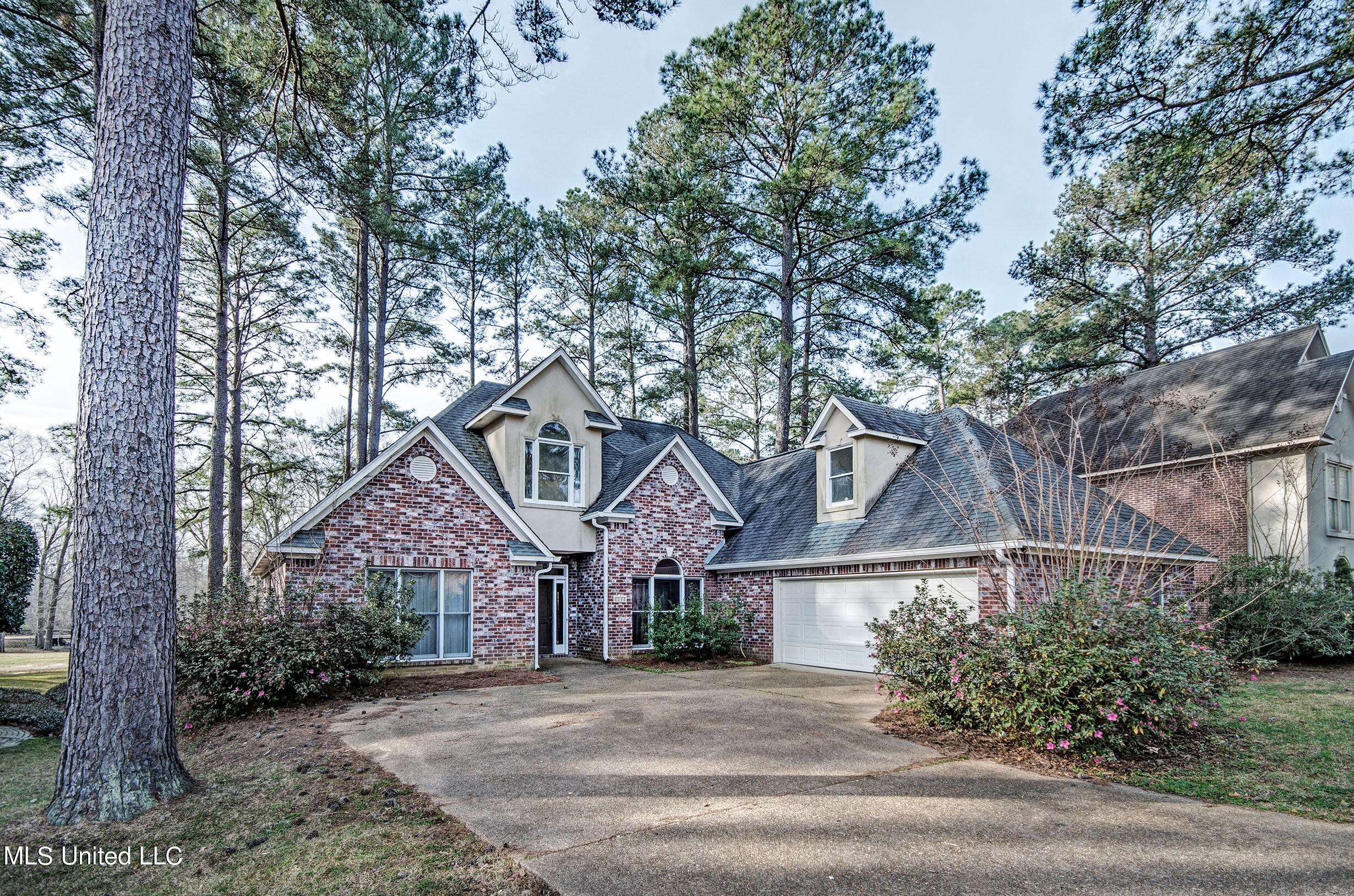 134 Pine Ridge Circle Brandon, MS 39047 - Photo 2 of 38 IMGP1537_8_9
