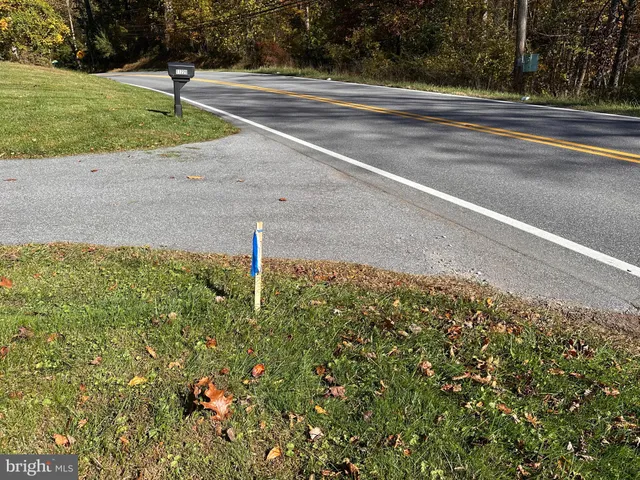 a street view with a yard