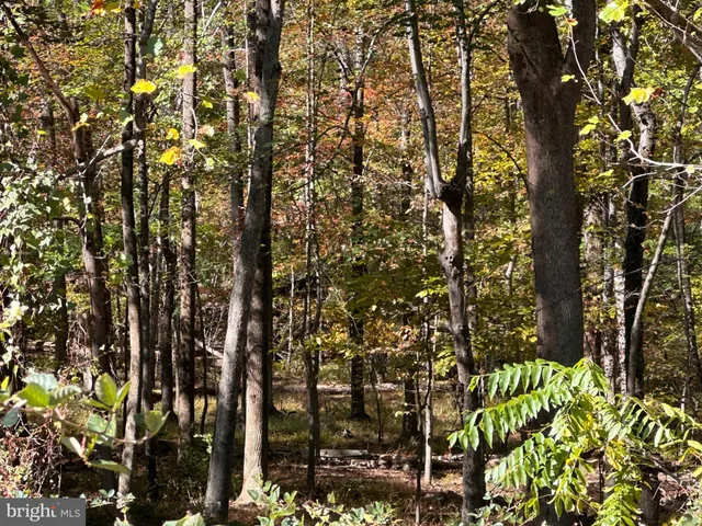 $599,000 | 11214 Park Heights Avenue, Owings Mills, MD 21117