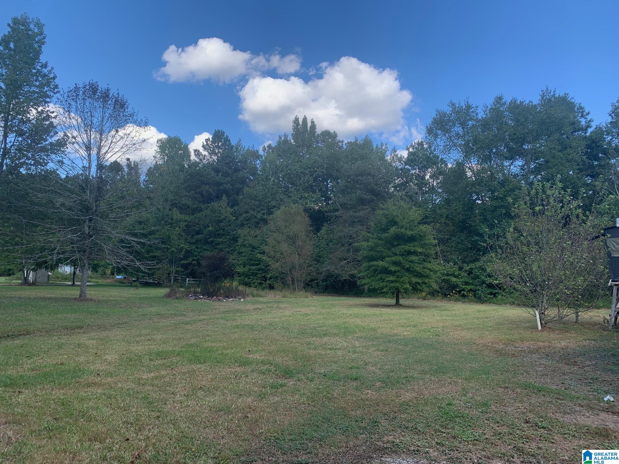 25774 Sand Springs Road Athens, AL 35613 - Photo 12 of 14