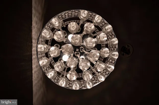 a view of a painting of a tree