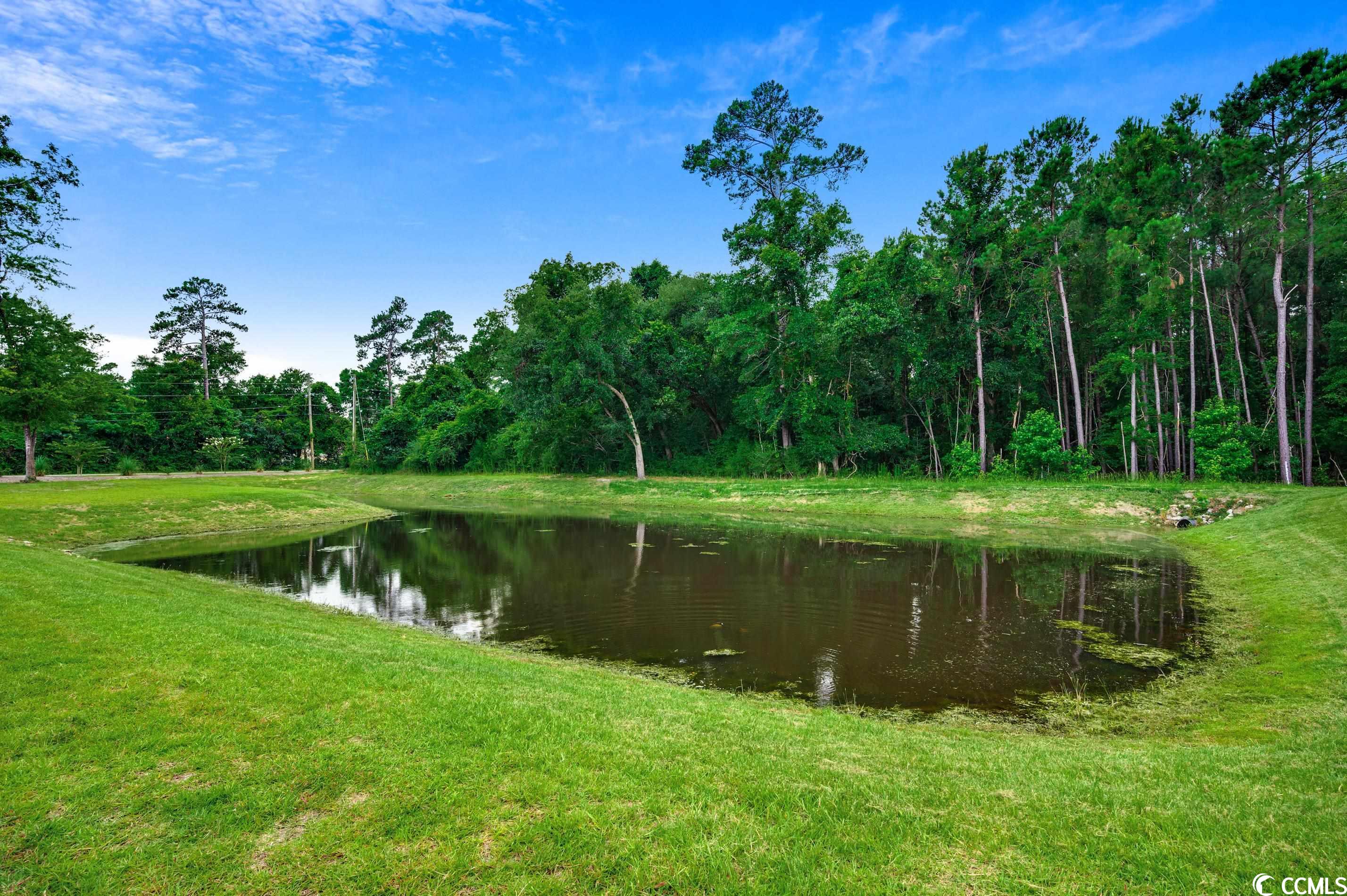 26 Caroline Court Murrells Inlet, SC 29576 - Photo 39 of 40 Gallery Image 39