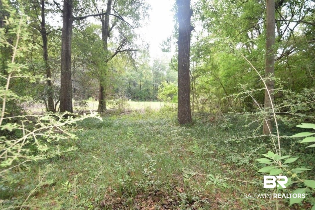 0 Oak Springs Road Saraland, AL 36571 - Photo 2 of 4
