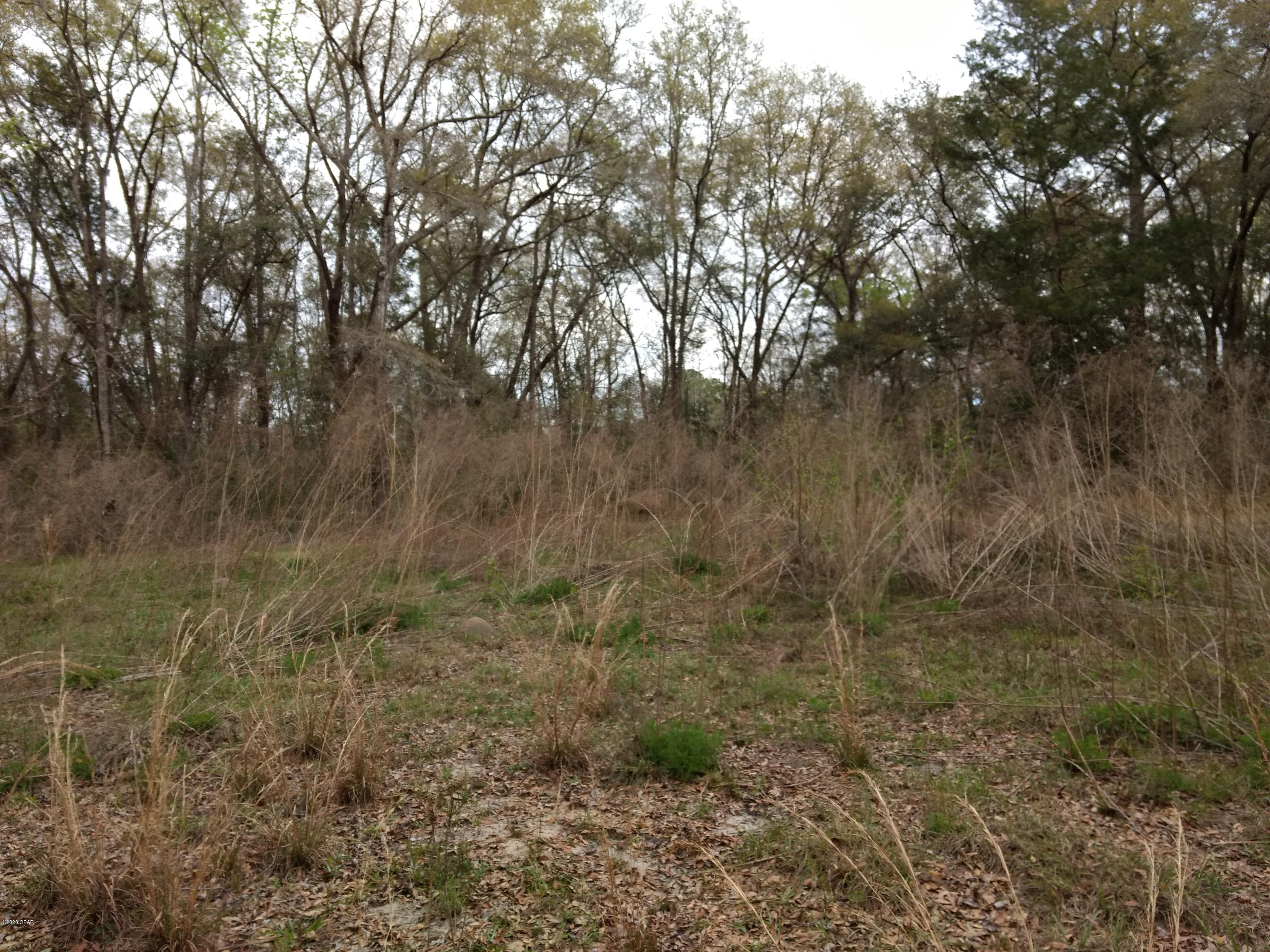 4365 Simmons Road Caryville, FL 32427 - Photo 3 of 12 Gallery Image 3