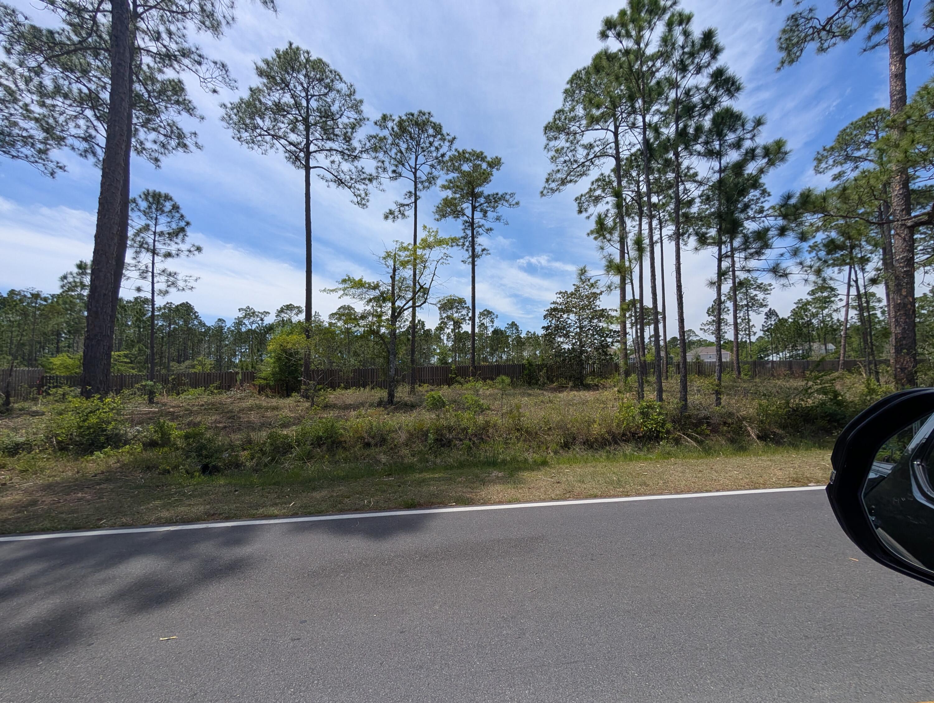 0 McDaniels Fishcamp Road Freeport, FL 32439 - Photo 1 of 7 8467