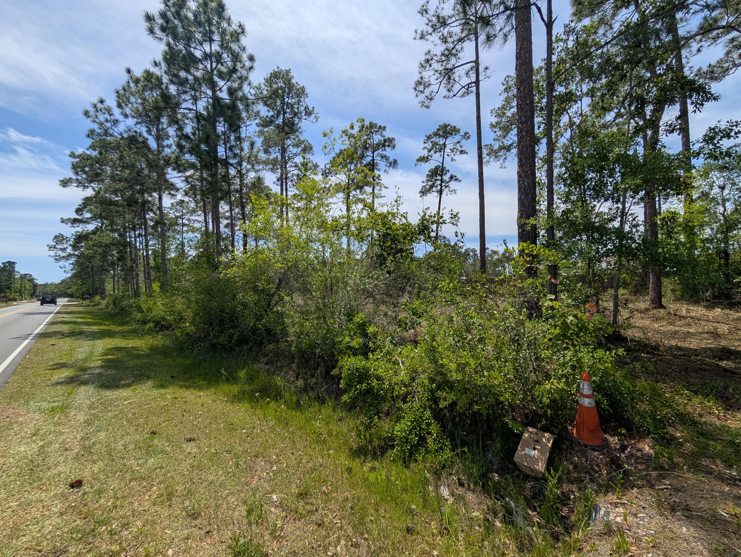 0 McDaniels Fishcamp Road Freeport, FL 32439 - Photo 4 of 7 8468