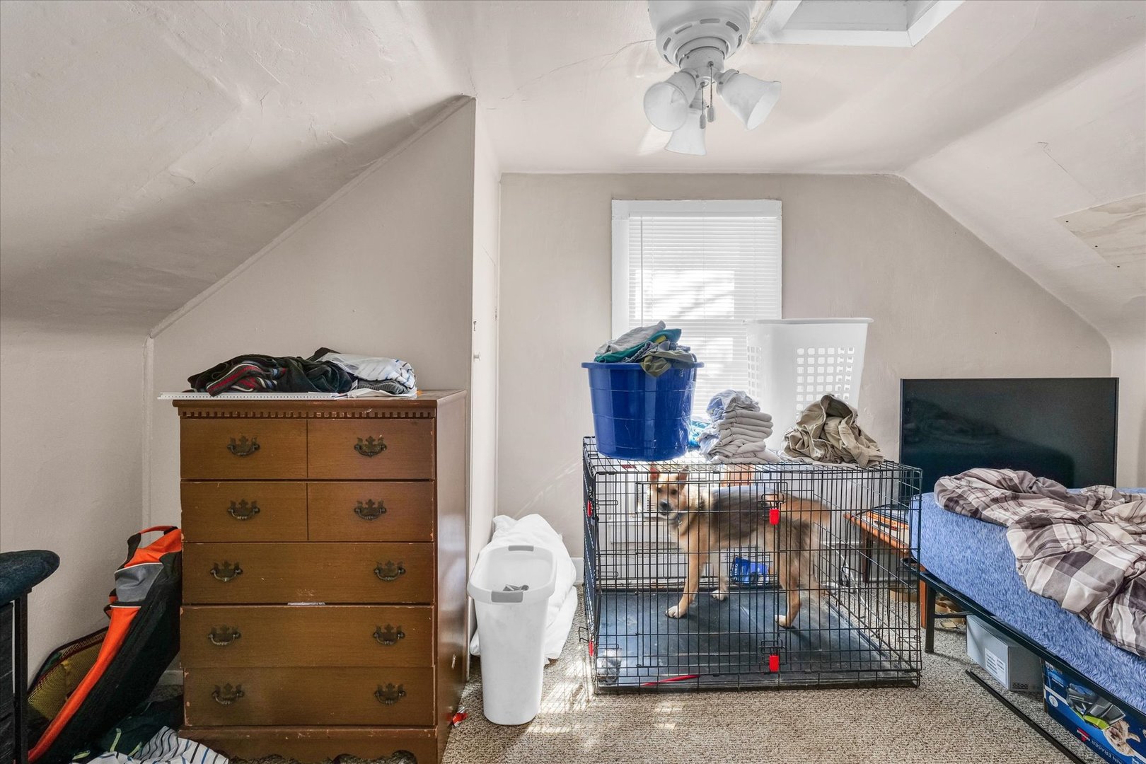 401 South Maple Street Urbana, IL 61801 - Photo 31 of 36