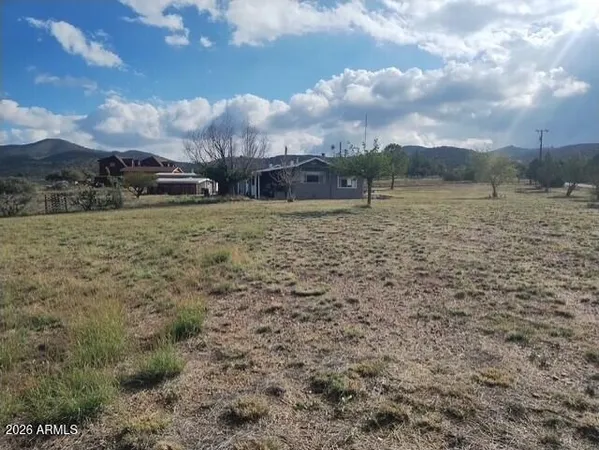a view of a dry yard with trees