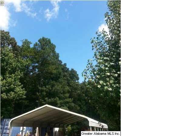 14329 Rockhouse Road Brookwood, AL 35444 - Photo 3 of 21
