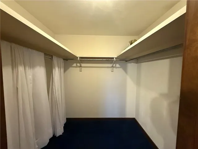 a view of backyard with green space