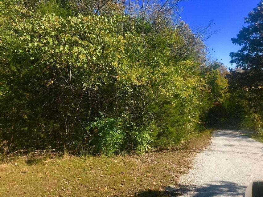 Tbd Ance Acres Lane, Unit 15 & 16 Reeds Spring, MO 65737 - Photo 2 of 12 20231010190915397743000000-o