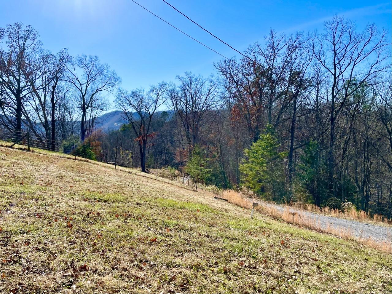 125 Khajah Road Newport, TN 37821 - Photo 2 of 20 2
