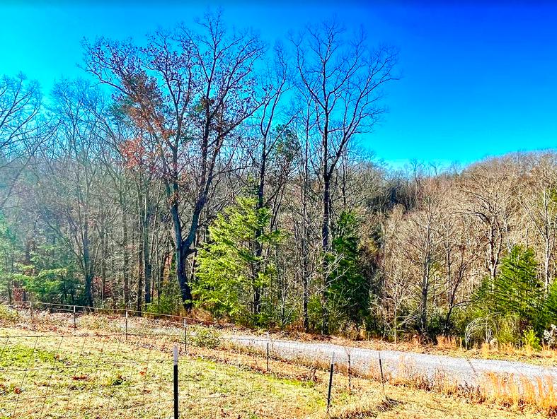 125 Khajah Road Newport, TN 37821 - Photo 3 of 20 Screen Shot 2020-12-22 at 4.34.25 PM