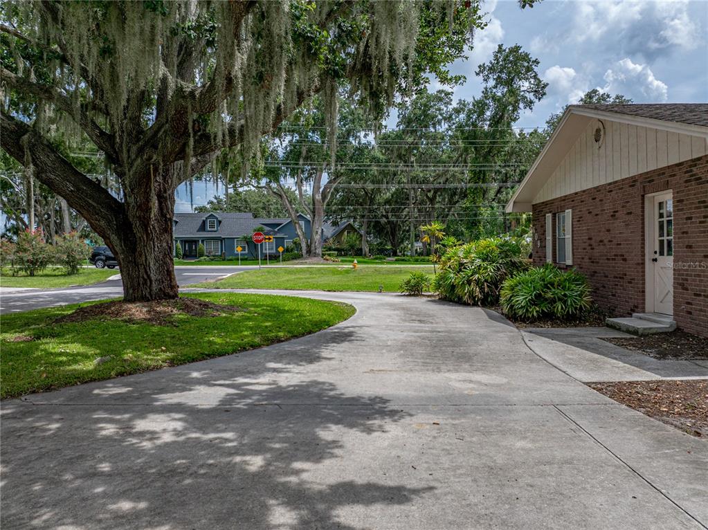 609 West Pipkin Road Lakeland, FL 33813 - Photo 70 of 72 a view of a yard with plants and a large tree