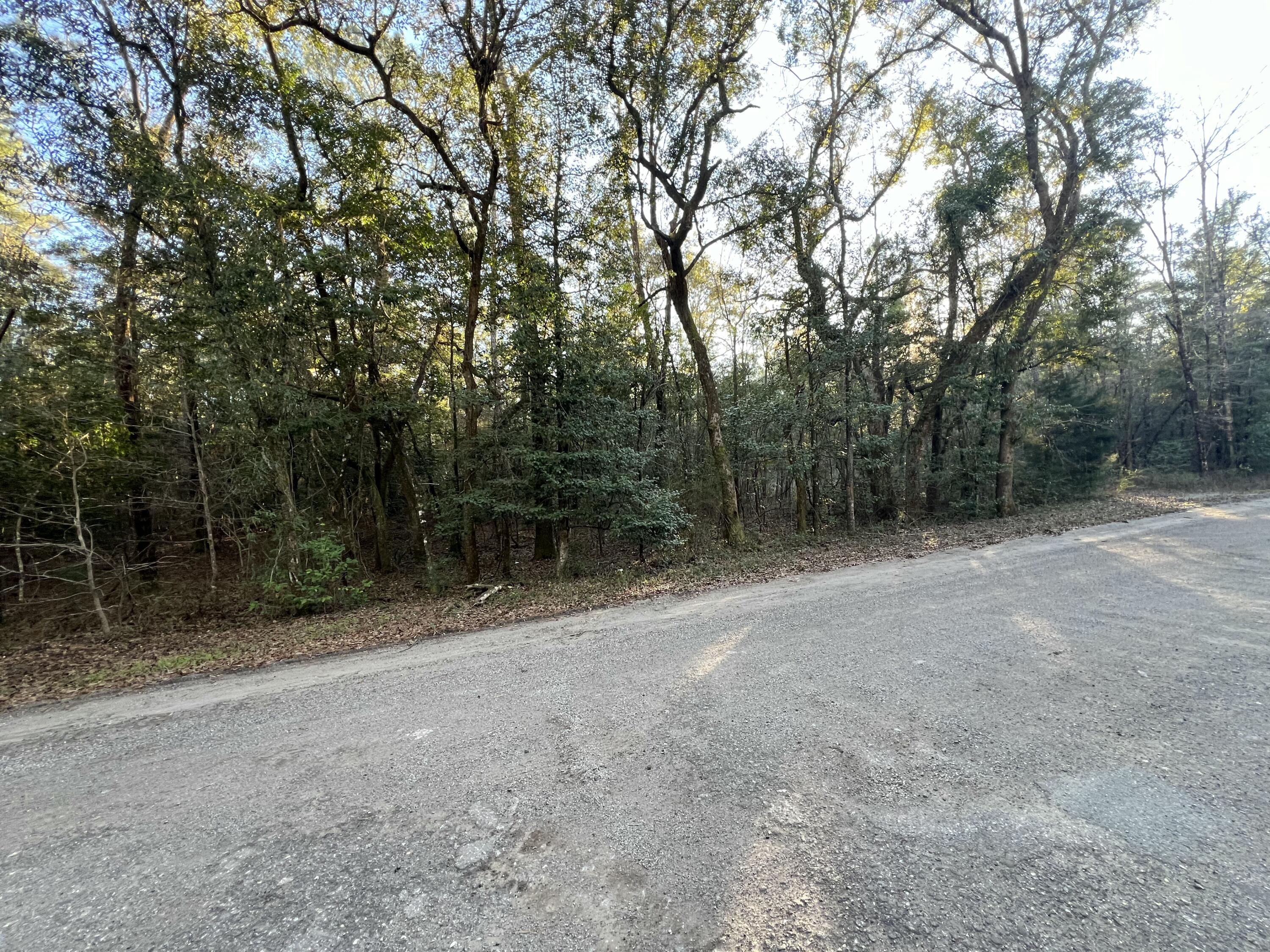 Xxxx River Road Ponce de Leon, FL 32455 - Photo 3 of 5 *