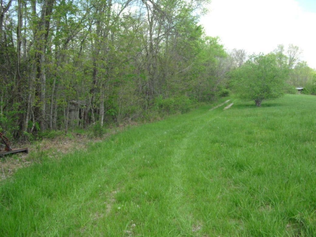 800 William K Smith Road Edmonton, KY 42129 - Photo 35 of 74 Gallery Image 35