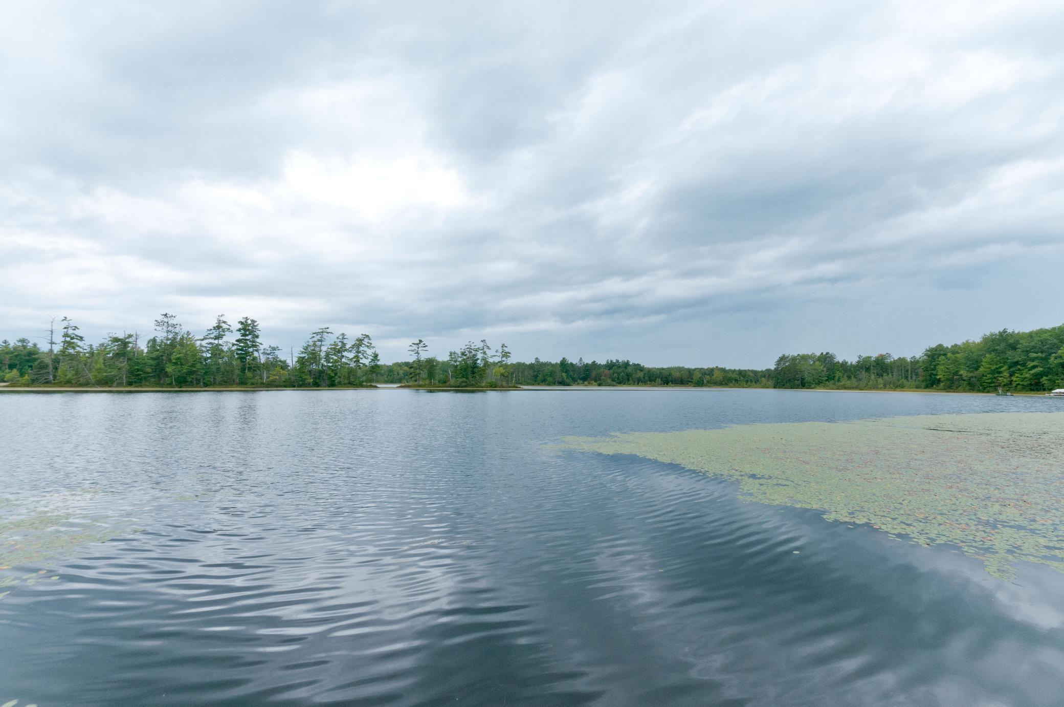 W15949 Bass Lake Road Rice Lake, WI 54868 - Photo 8 of 24