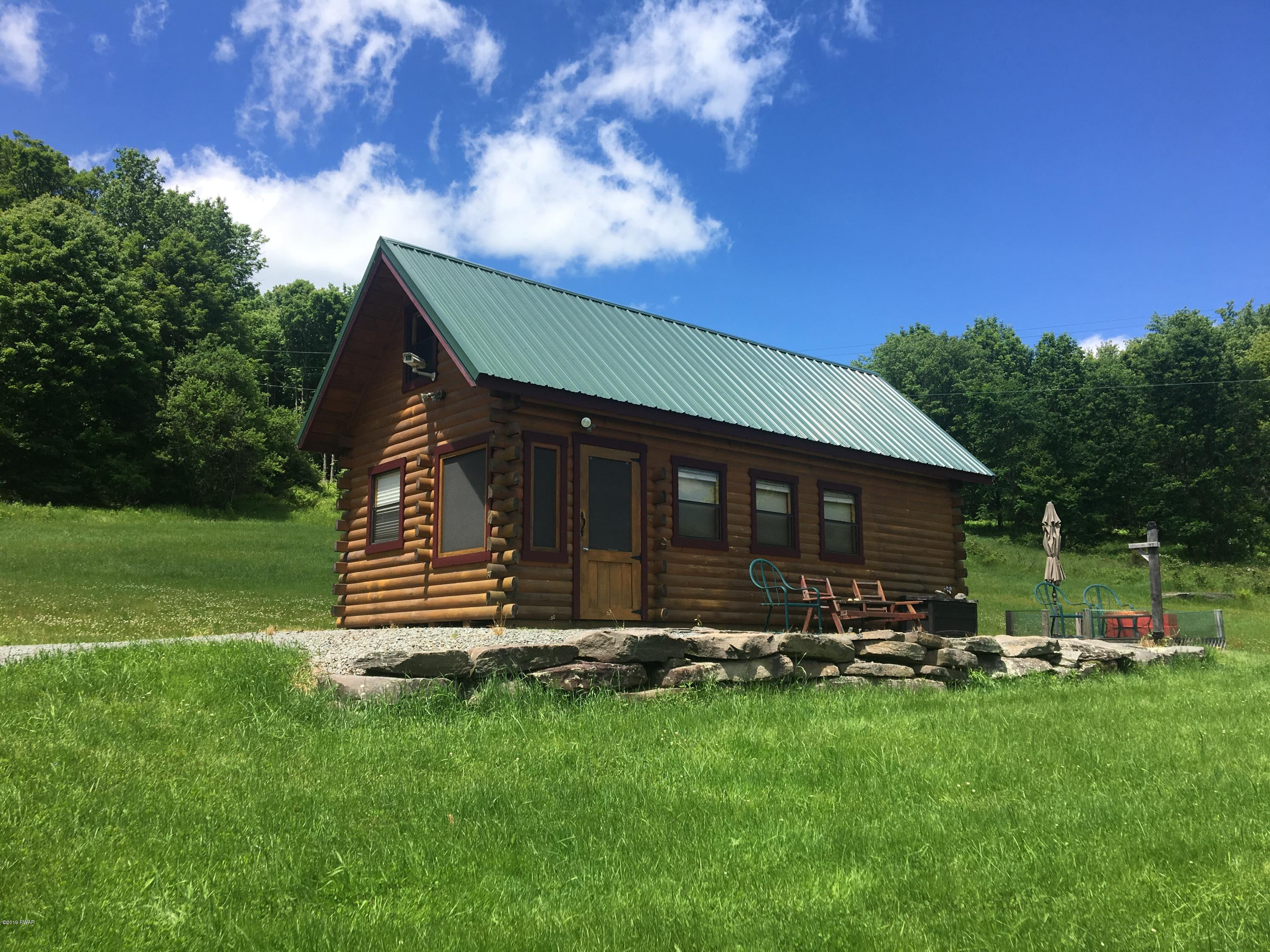 1199 Pine Mill Road Equinunk, PA 18417 - Photo 1 of 27