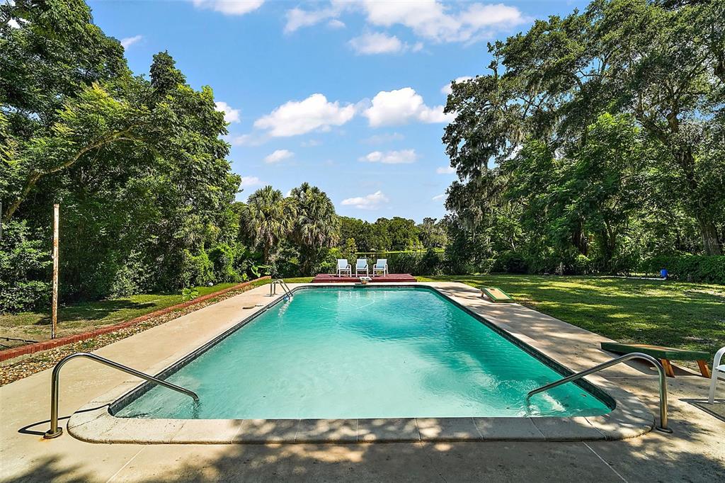 705 West Summit Court Mount Dora, FL 32757 - Photo 28 of 37 a view of a pool a bench and trees in the background