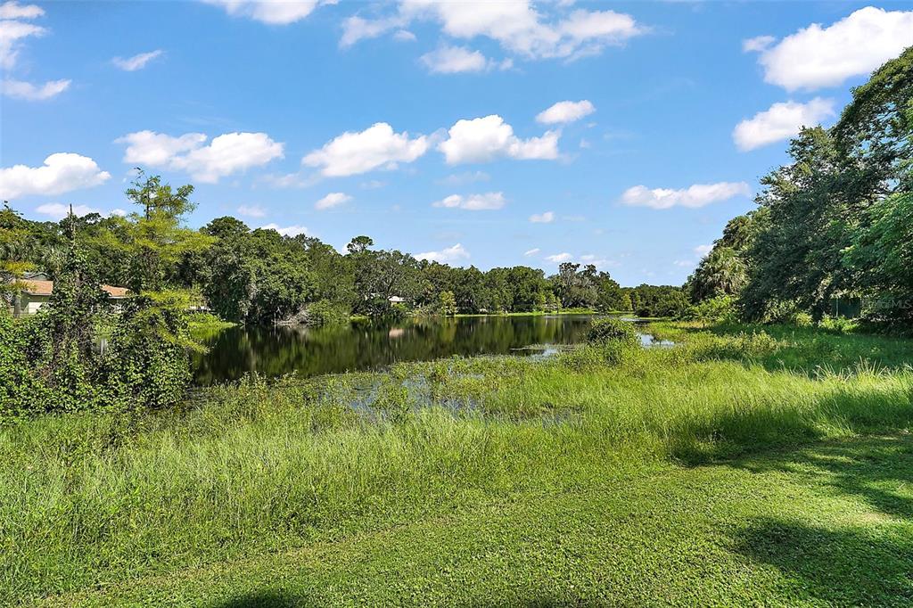 705 West Summit Court Mount Dora, FL 32757 - Photo 35 of 37 a view of a lake